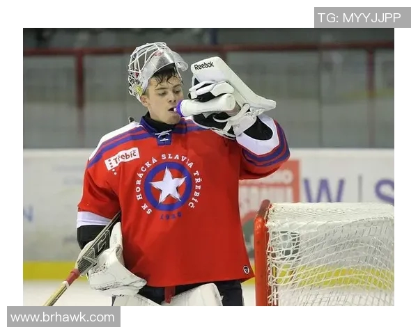 全球冰球明星排行榜前十名揭晓你最喜欢的球员是谁